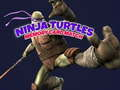 Lojë Ninja Turtles Ndeshja e Kartave të Kujtesës në internet