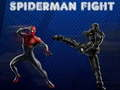 Lojë Beteja e Spiderman në internet