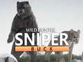 Lojë Wild Hunter dollar snajper  në internet
