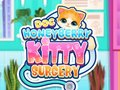 Lojë Doktor HoneyBerry Kirurgjia e Macakut në internet