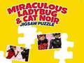 Lojë Ladybug i mrekullueshëm dhe Cat Noir: Enigmë në internet