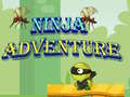 Lojë Avantura Ninja në internet
