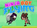 Lojë Djali Ninja Fluturues në internet