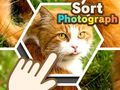 Lojë Rendit fotografitë në internet