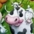 Fermer  online